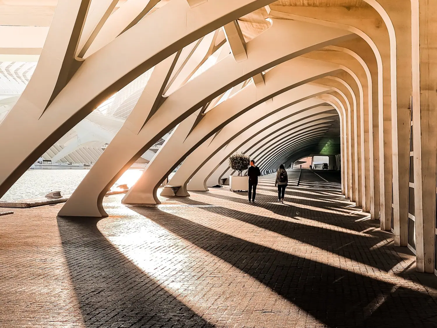 Forum Architektury Zrównoważonej - projekty dla miasta